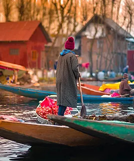 Kashmir